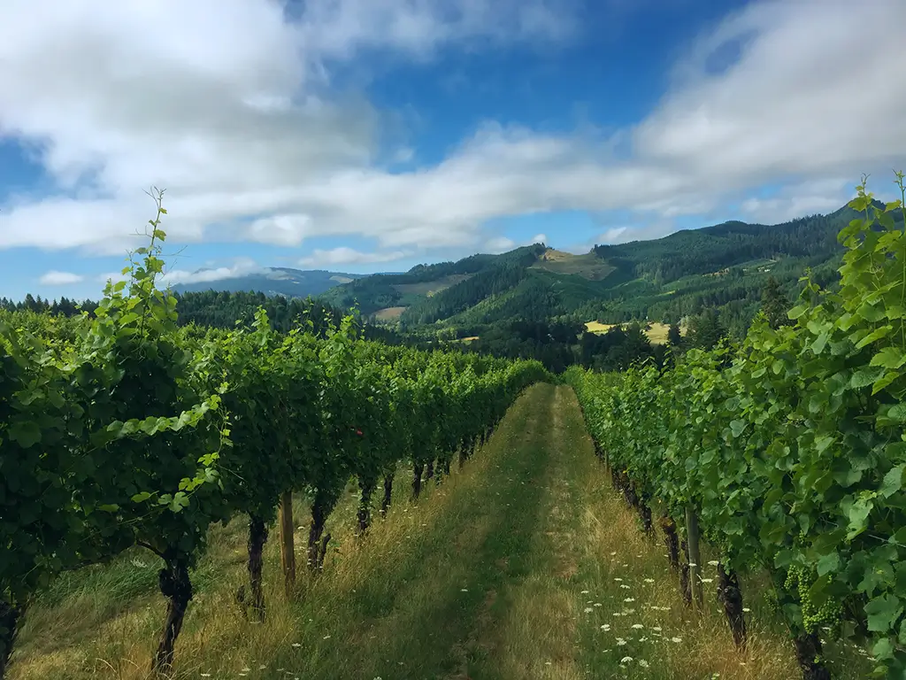acrobat wines panel our home state rev 2