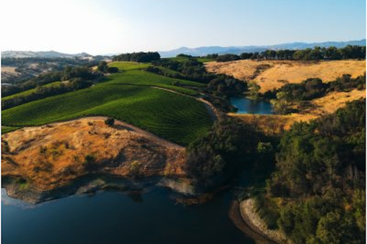 Vineyards