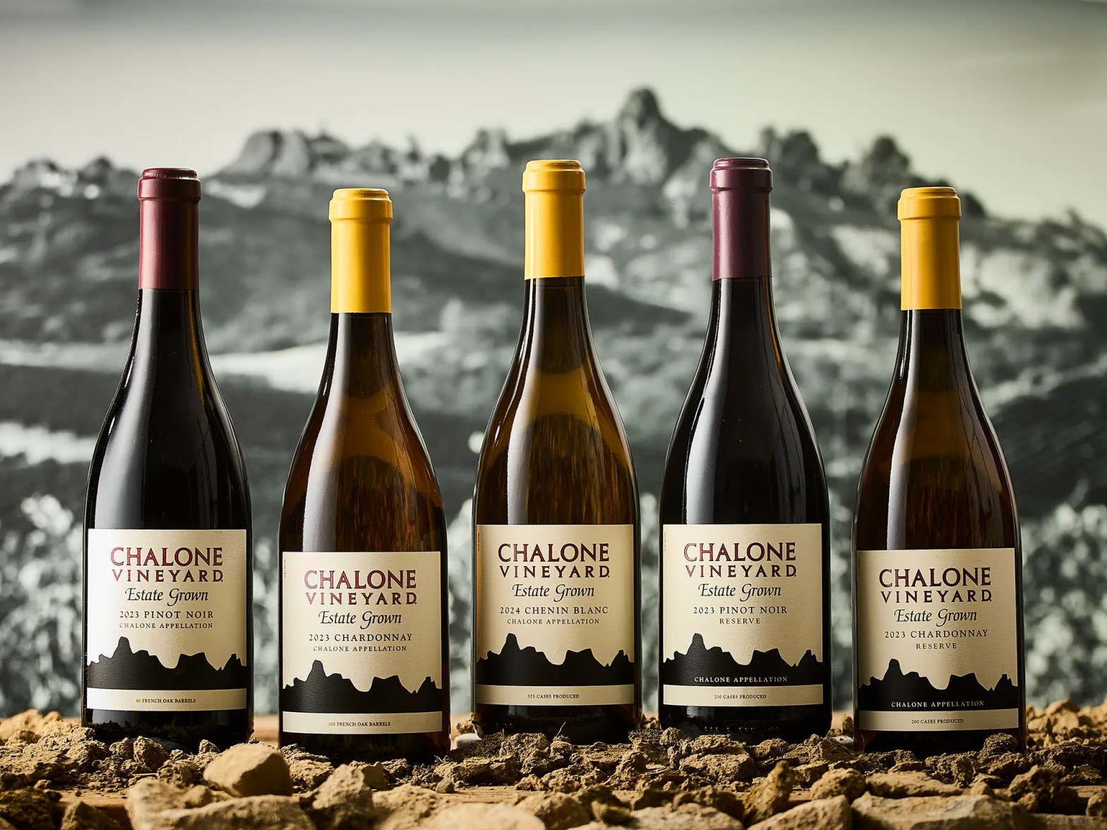 chalone vineyard hero home