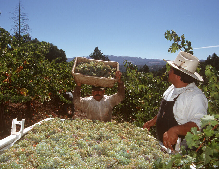 CSJ Harvest2 Historical