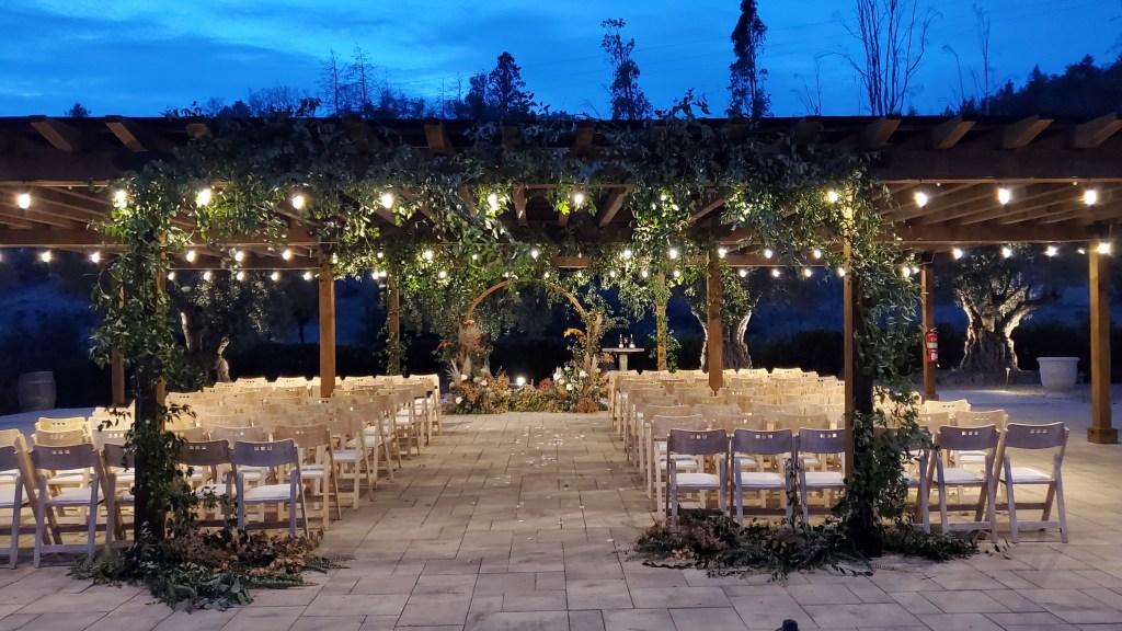 CSJ Olive Grove Pergola at Night Wedding 1