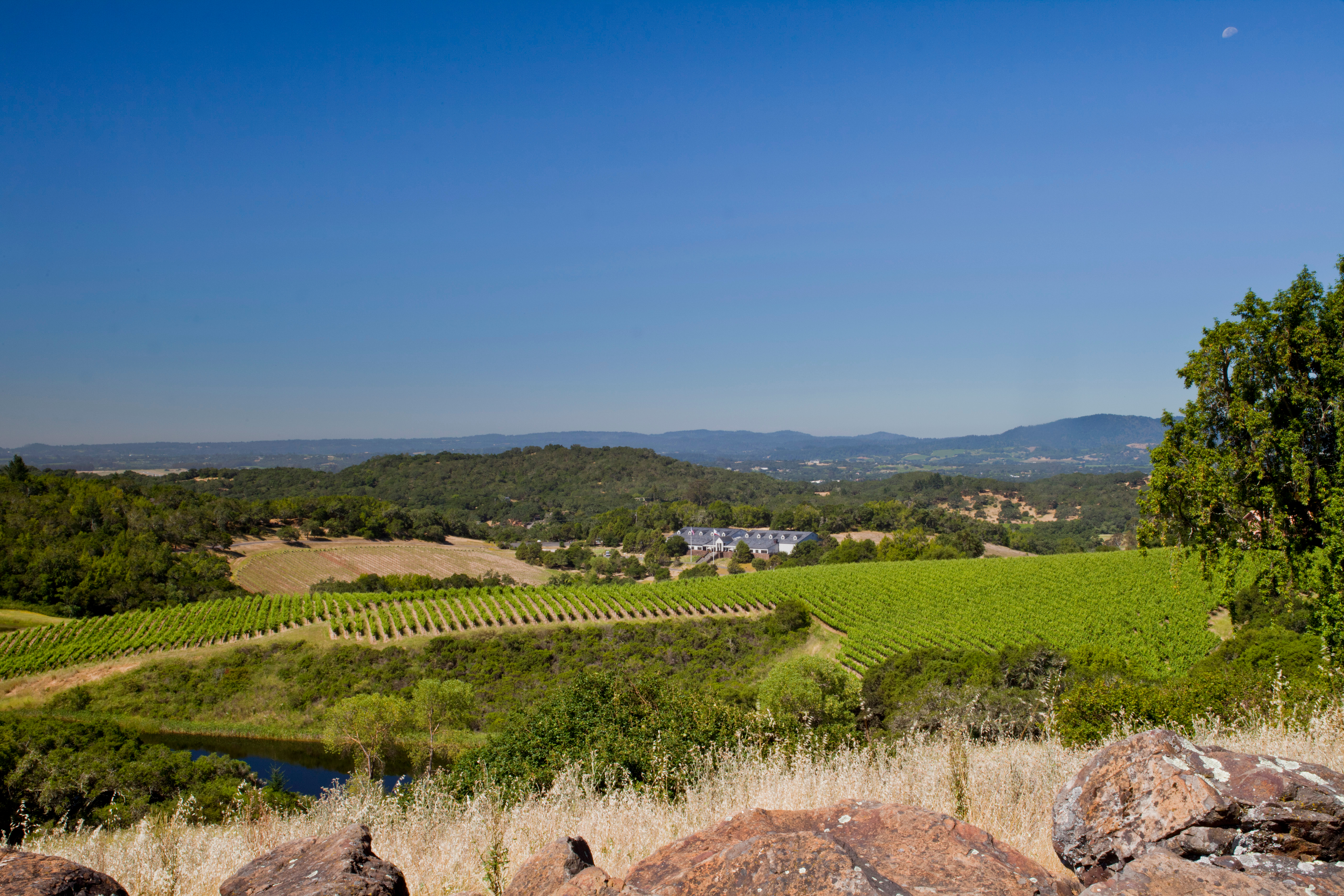 Chalk Hill View