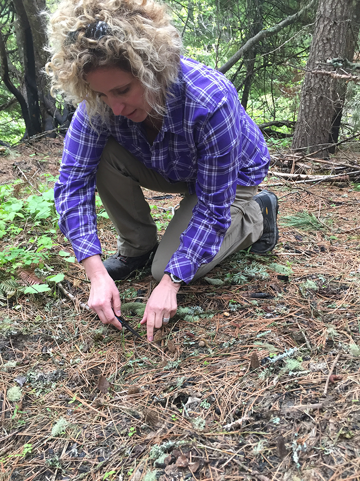 holly mushrooming