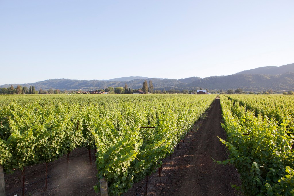 Foley Johnson Estate Vineyards