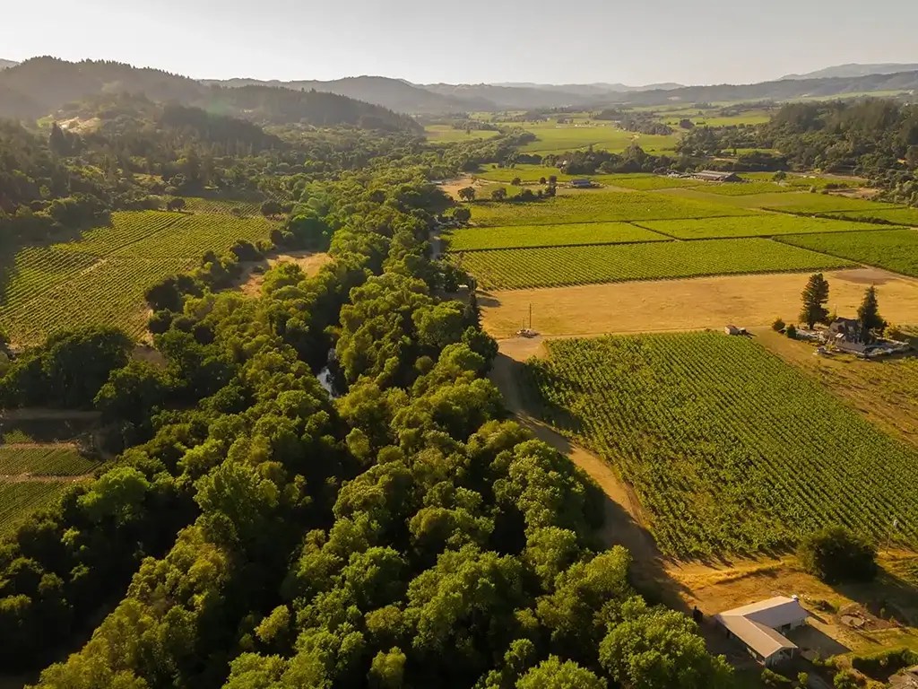 rickshaw wines panel home sustainability