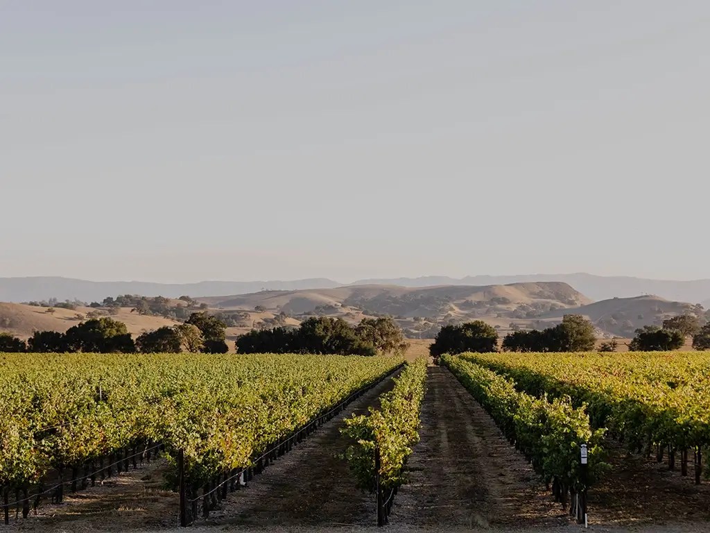 rickshaw wines panel sustainable vineyards