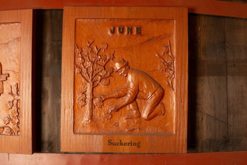 header vintner june 1