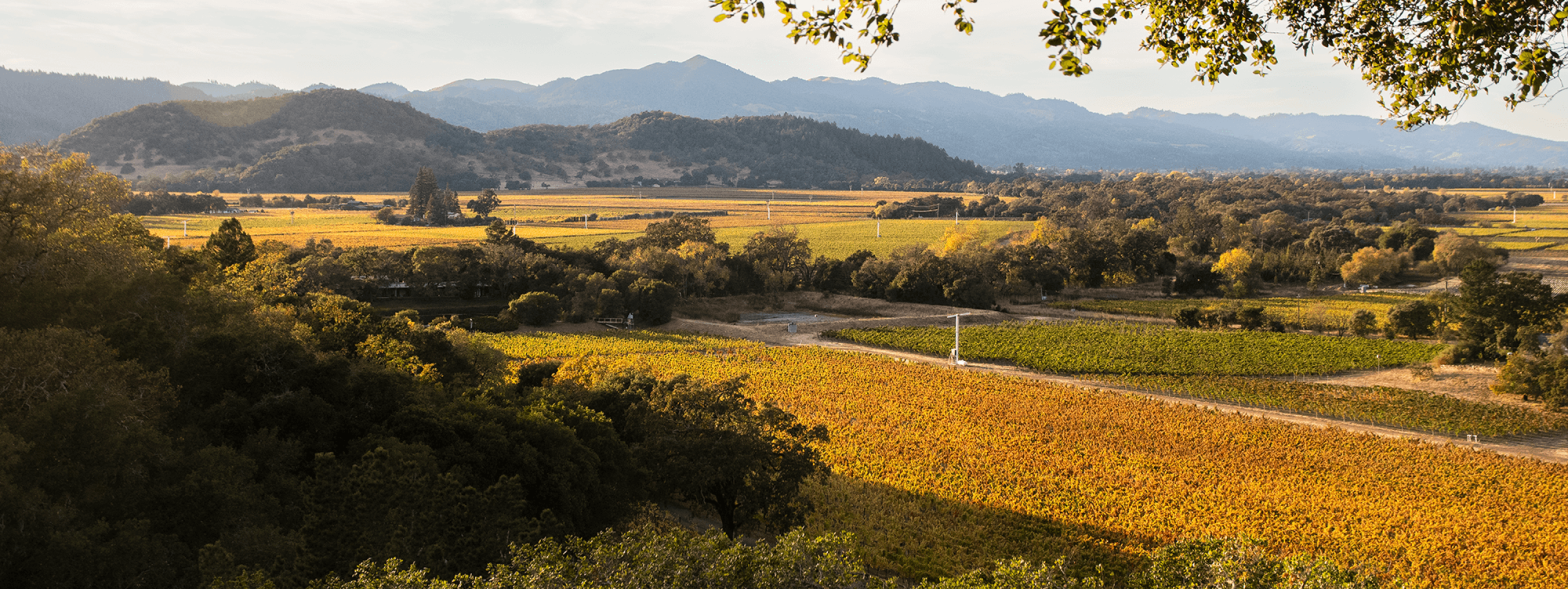 silverado hero estate vineyards rev 3