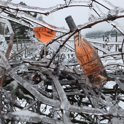 TFG Rose frozen vines 4