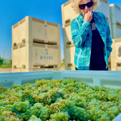 Holly taste test Semillon 9 2021